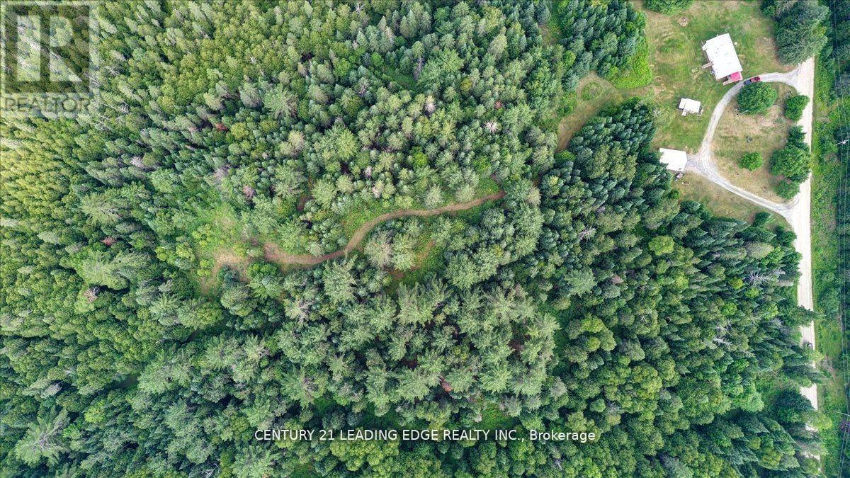 281 Crawford Road, Bancroft, Ontario  K0L 2L0 - Photo 36 - X13103812