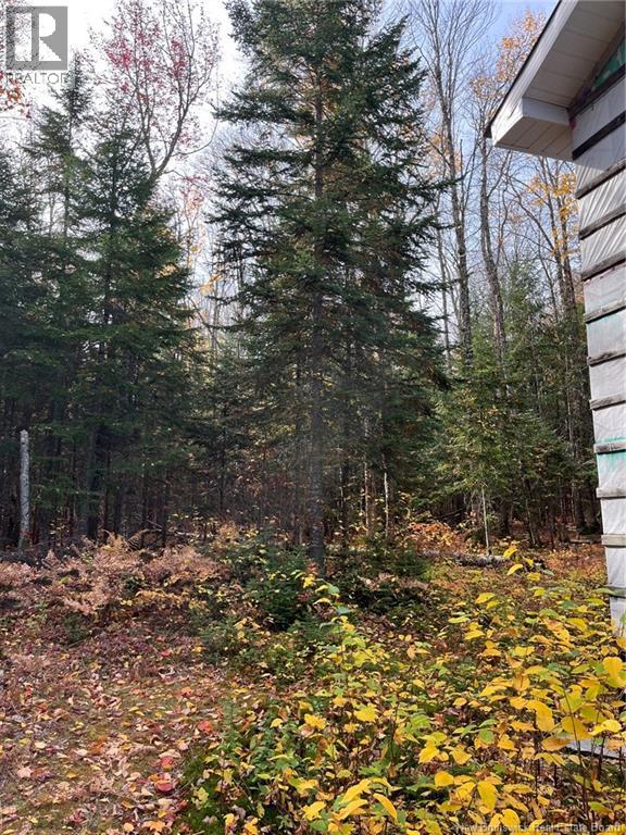 Lot Eva Road, Kedgwick, New Brunswick  E8B 2C1 - Photo 9 - NB122613