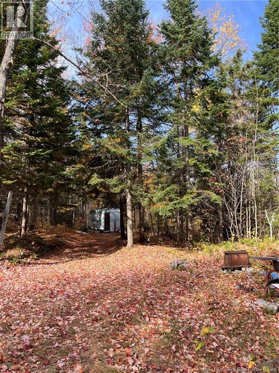 Lot Eva Road, Kedgwick, New Brunswick  E8B 2C1 - Photo 8 - NB122613