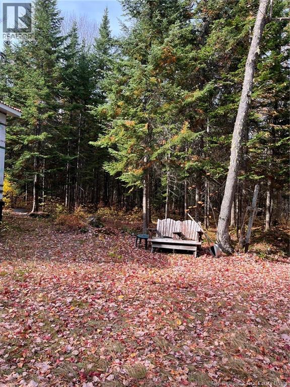 Lot Eva Road, Kedgwick, New Brunswick  E8B 2C1 - Photo 7 - NB122613