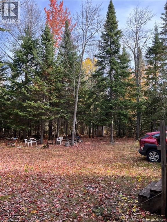 Lot Eva Road, Kedgwick, New Brunswick  E8B 2C1 - Photo 10 - NB122613