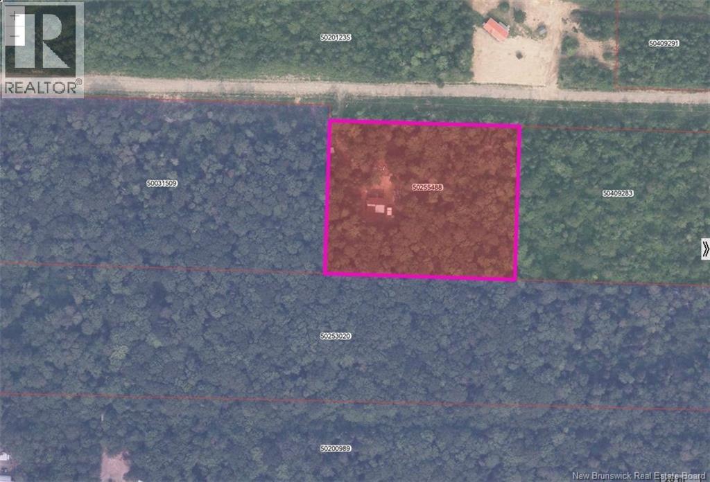 Lot Eva Road, Kedgwick, New Brunswick  E8B 2C1 - Photo 11 - NB122613