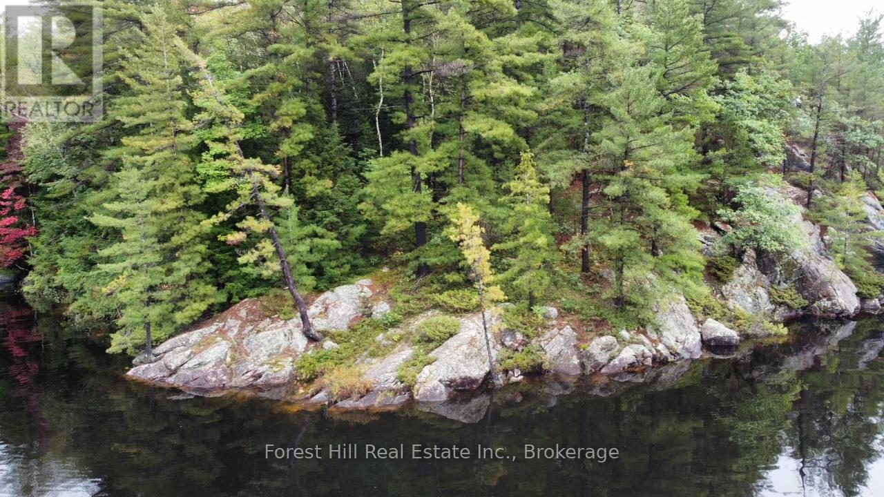 0 Clear Lake Road, Muskoka Lakes, Ontario  P0C 1M0 - Photo 21 - X13104070