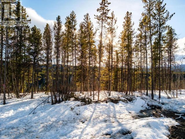 39 Beryl Place, Whitehorse, Yukon  Y1A 6V3 - Photo 8 - 17242