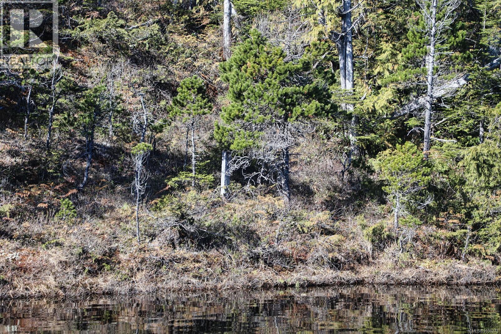 Dl 1216 Slingsby Channel, See Remarks, British Columbia  V0N 2P0 - Photo 26 - 1036273