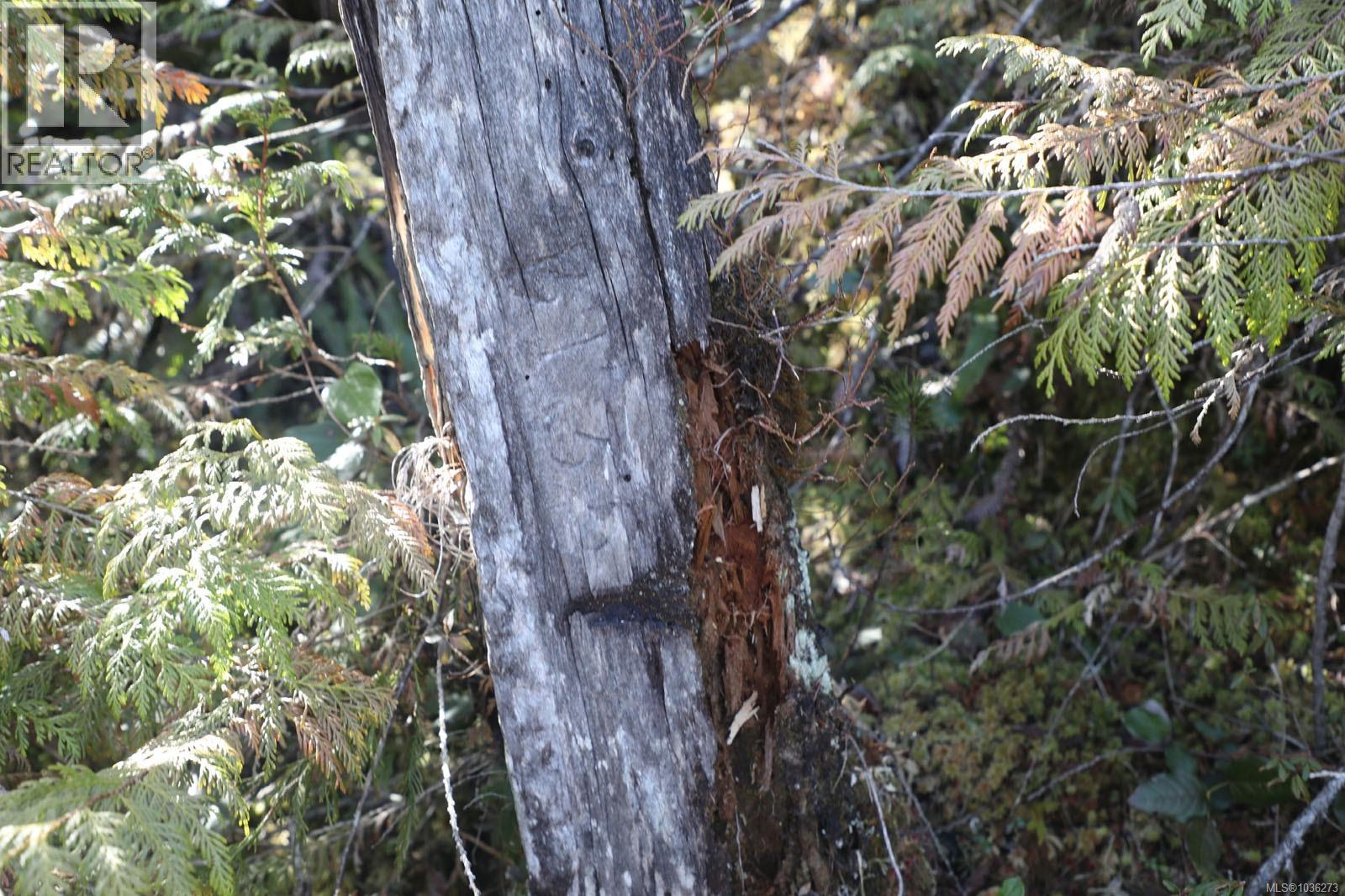 Dl 1216 Slingsby Channel, See Remarks, British Columbia  V0N 2P0 - Photo 33 - 1036273