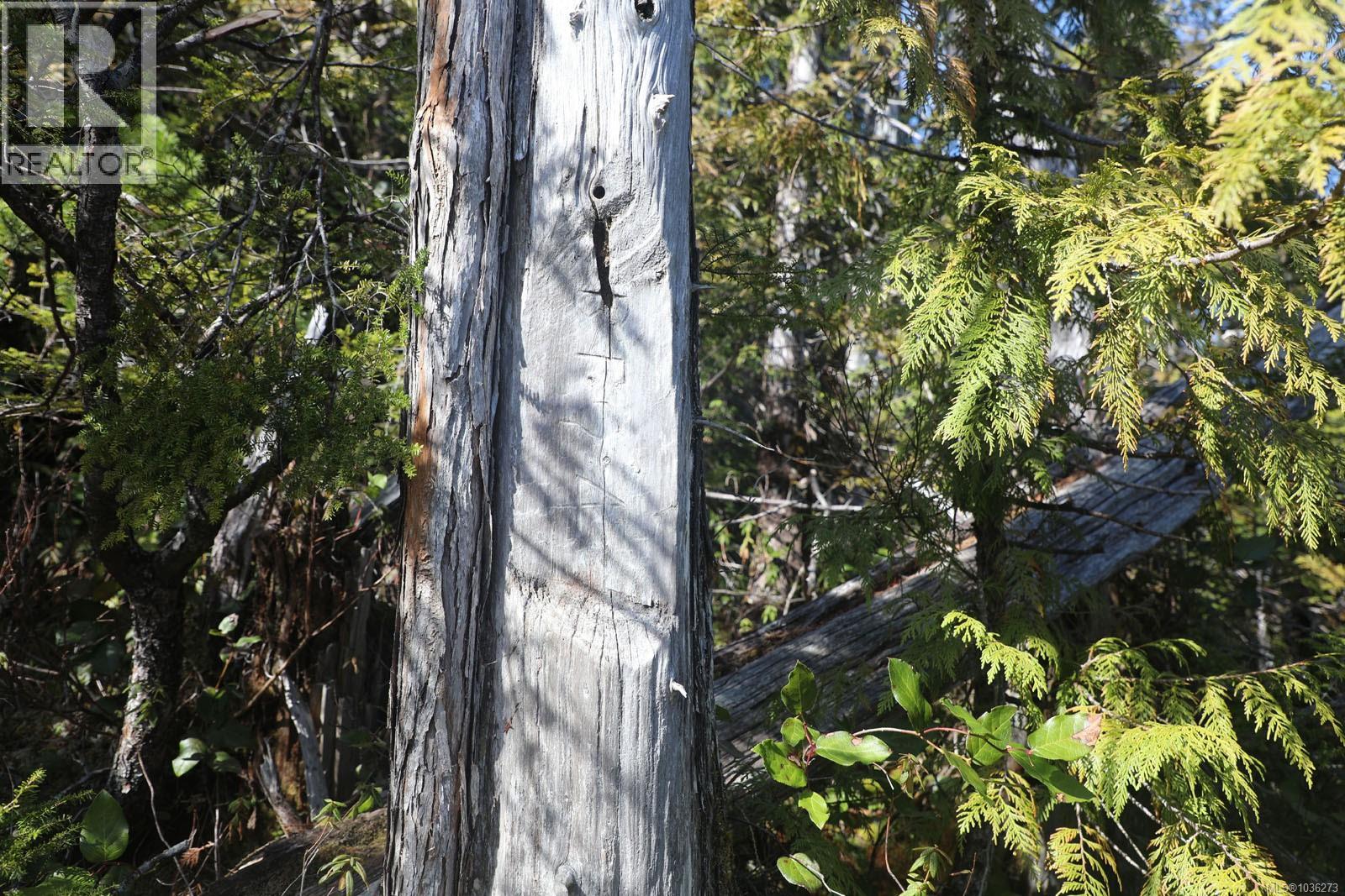 Dl 1216 Slingsby Channel, See Remarks, British Columbia  V0N 2P0 - Photo 35 - 1036273