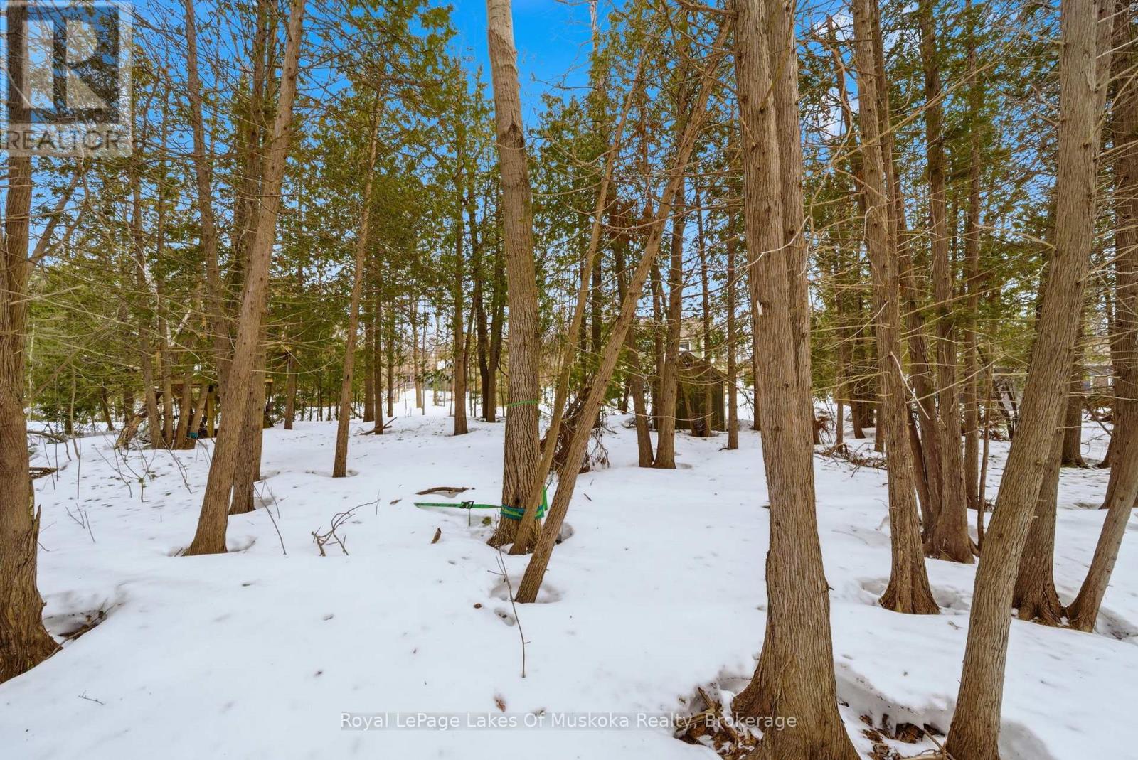 2029 Elana Drive, Severn, Ontario  L3V 0C1 - Photo 39 - S13104378