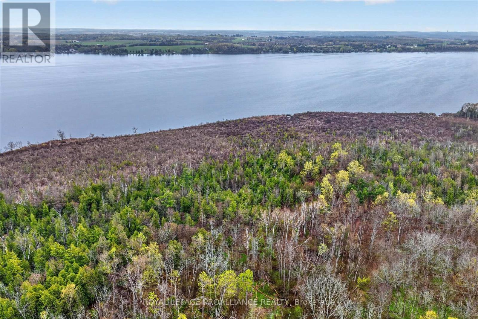 0 Whitfield Road, Scugog, Ontario  L0C 1G0 - Photo 13 - E13104196