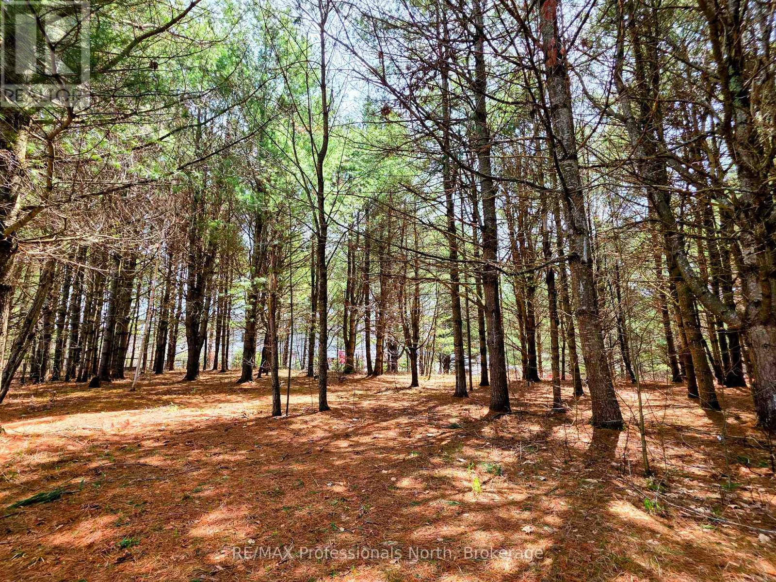 1037 West Road, Minden Hills, Ontario  K0M 1S0 - Photo 32 - X13104170