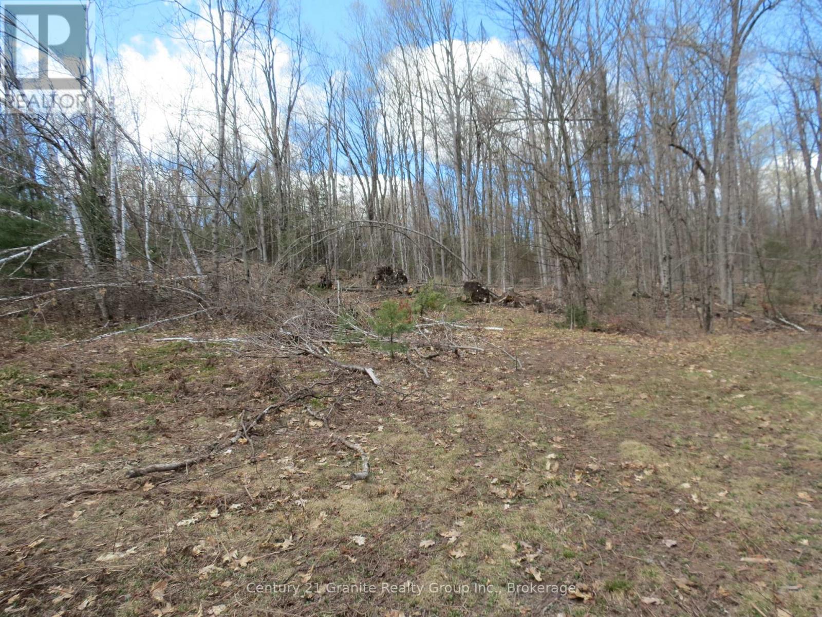 6013 County Road 503, Minden Hills, Ontario  K0M 2A0 - Photo 15 - X13104246