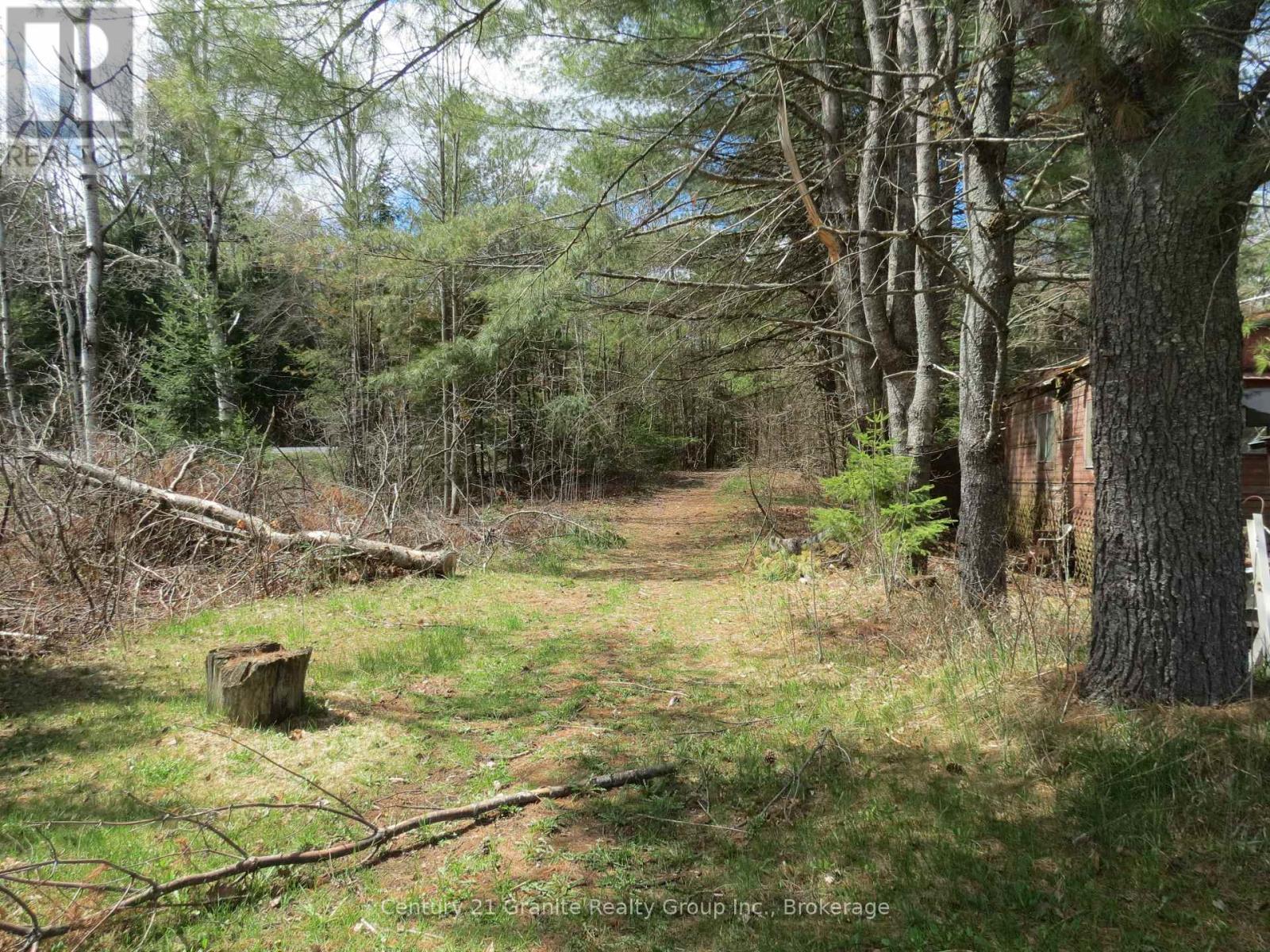 6013 County Road 503, Minden Hills, Ontario  K0M 2A0 - Photo 17 - X13104246