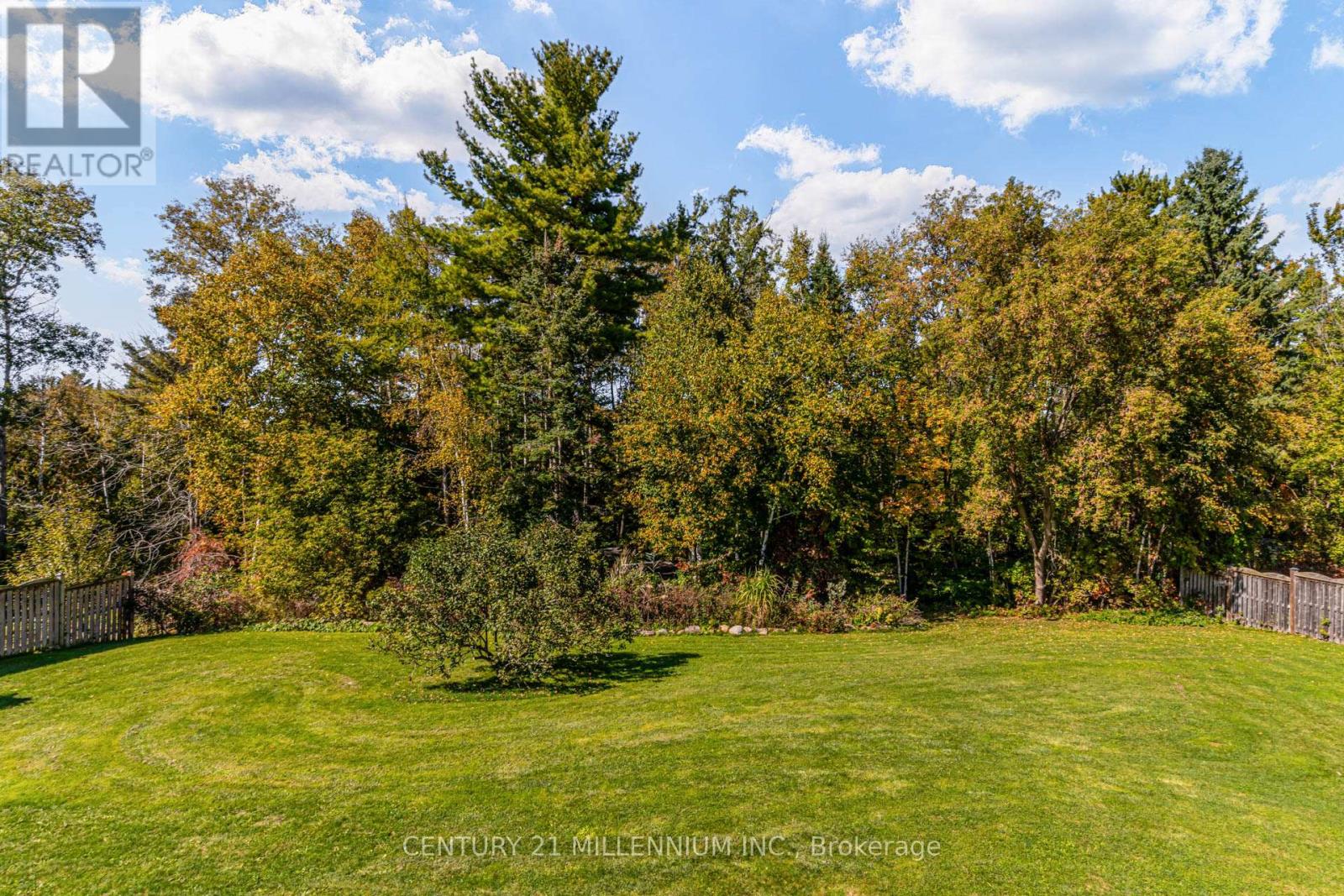 9344 County 1 Road, Adjala-Tosorontio, Ontario  L0N 1P0 - Photo 37 - N13104256