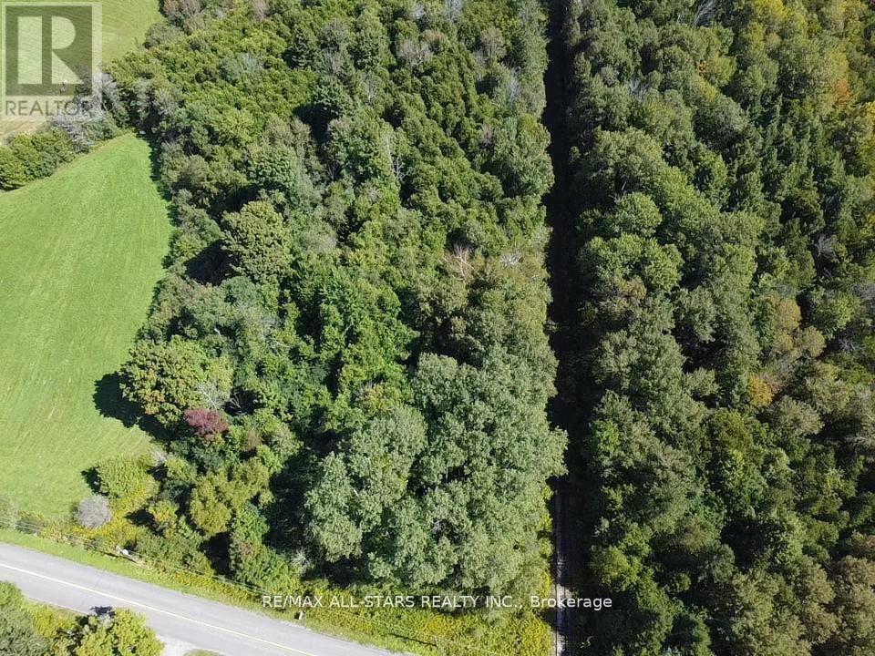0 Owen Road, Uxbridge, Ontario  L9P 1R1 - Photo 10 - N13104330