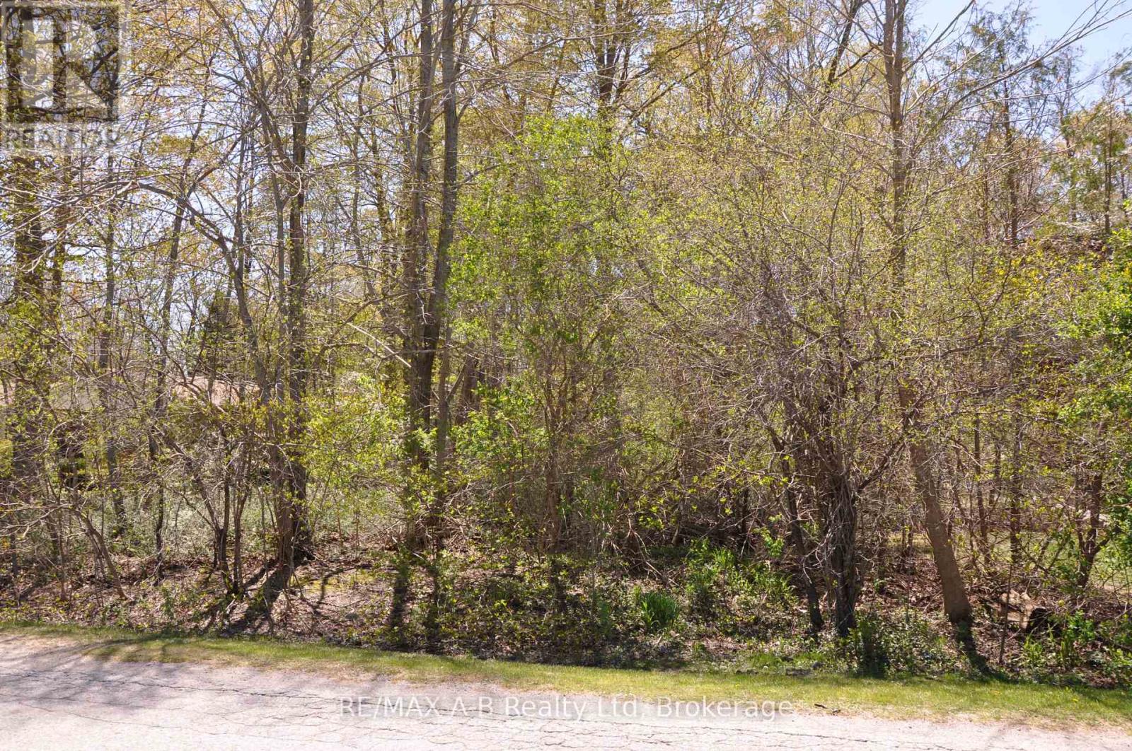 26 Cameron Street, Bluewater, Ontario  N0M 1G0 - Photo 5 - X13103378