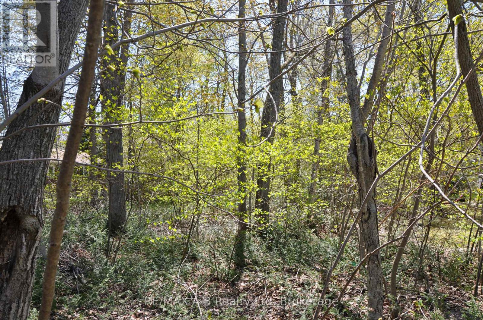 26 Cameron Street, Bluewater, Ontario  N0M 1G0 - Photo 6 - X13103378