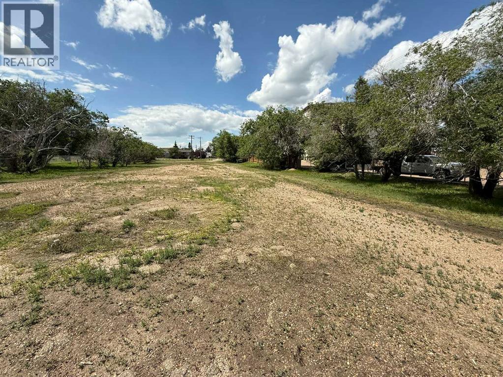 703 9 Highway S, Drumheller, Alberta  T0J 0Y6 - Photo 33 - A2301986