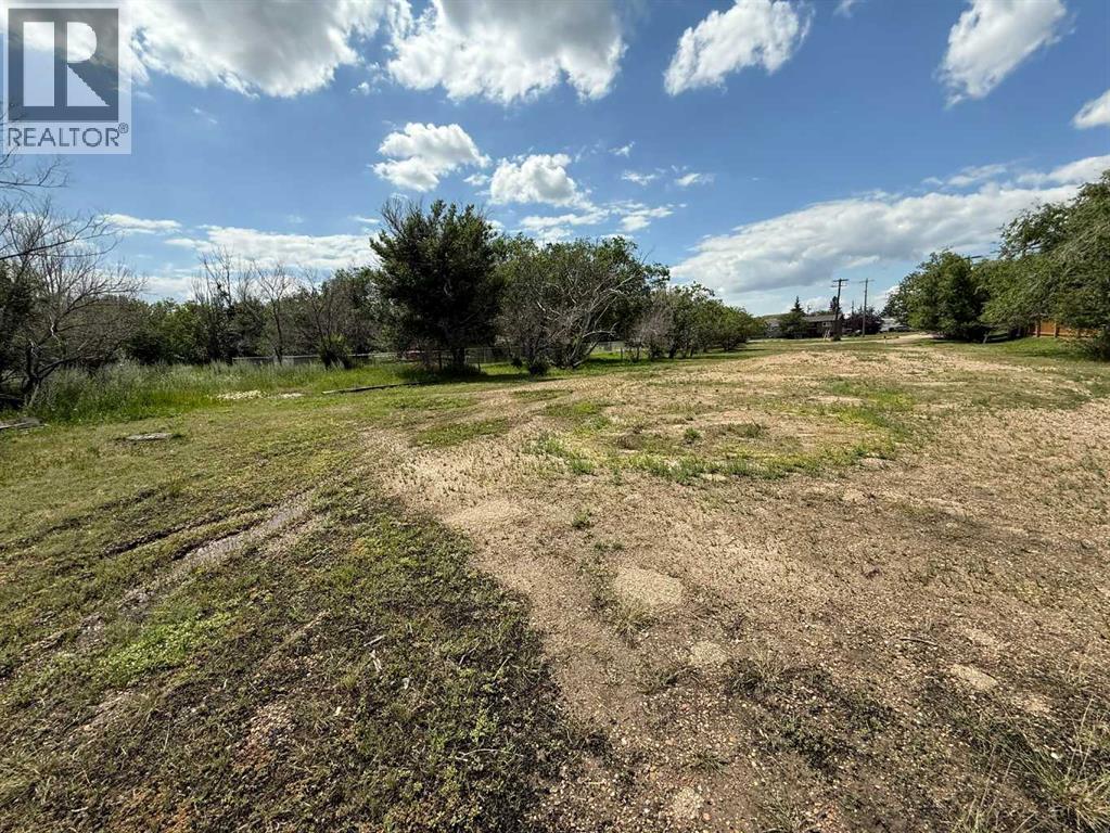 703 9 Highway S, Drumheller, Alberta  T0J 0Y6 - Photo 32 - A2301986