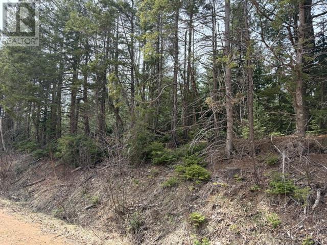 Lot Portage Road, DeGros Marsh, Prince Edward Island