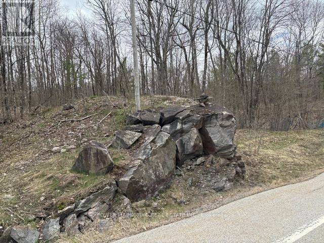 Part Lot 26 Highway 36 Road, Rideau Lakes, Ontario  K0G 1X0 - Photo 11 - X13104618