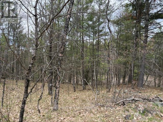 Part Lot 26 Highway 36 Road, Rideau Lakes, Ontario  K0G 1X0 - Photo 13 - X13104618