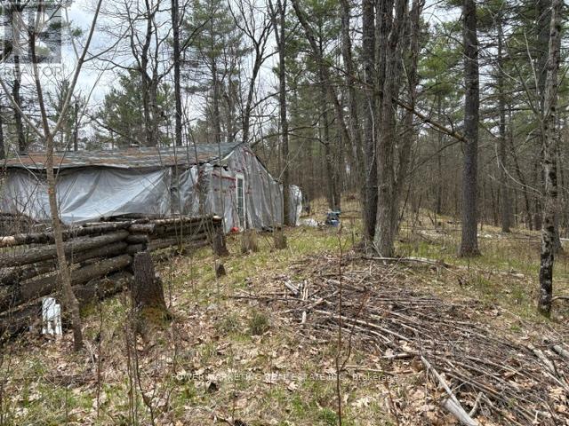 Part Lot 26 Highway 36 Road, Rideau Lakes, Ontario  K0G 1X0 - Photo 15 - X13104618