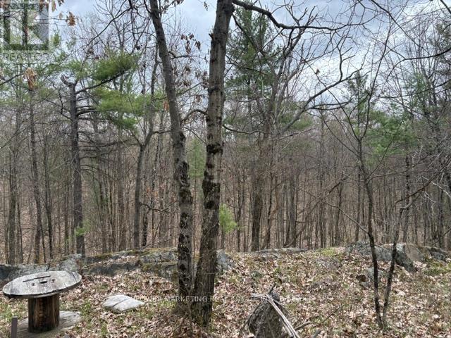 Part Lot 26 Highway 36 Road, Rideau Lakes, Ontario  K0G 1X0 - Photo 18 - X13104618