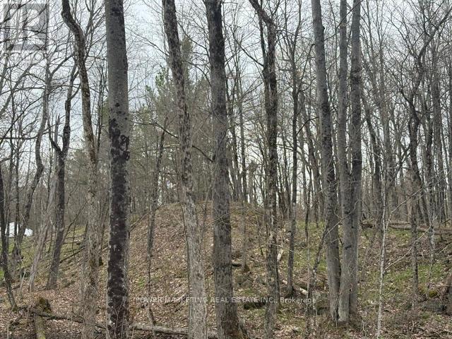Part Lot 26 Highway 36 Road, Rideau Lakes, Ontario  K0G 1X0 - Photo 8 - X13104618
