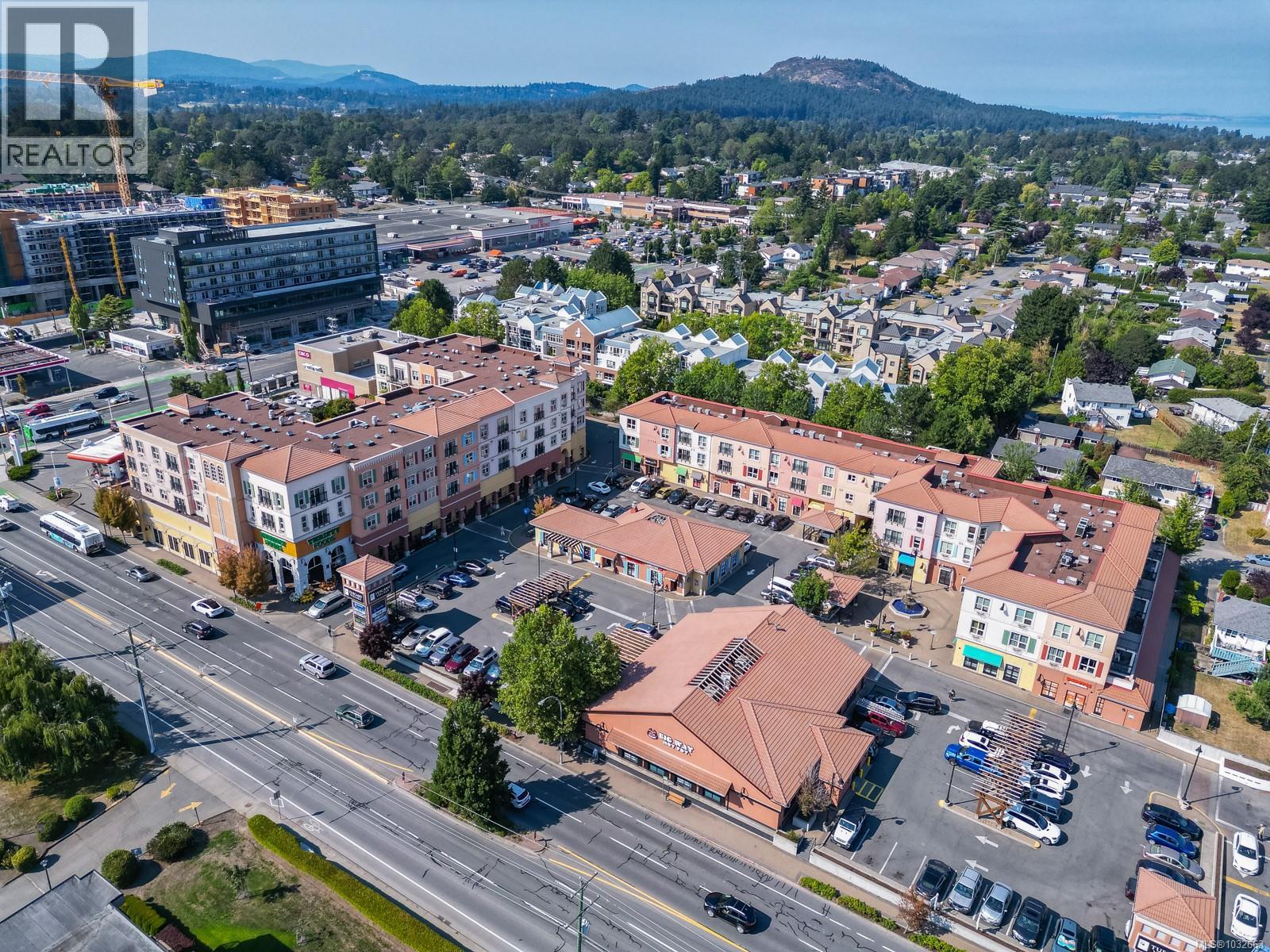 1897 San Pedro Ave, Saanich, British Columbia  V8N 2G7 - Photo 39 - 1032663
