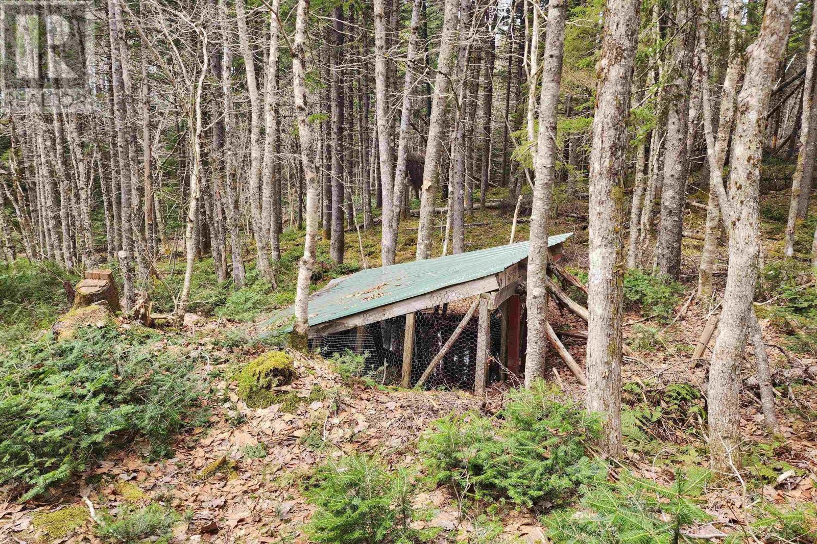 1009 Trout Lake Road, Hart Lake, Nova Scotia  B0M 1W0 - Photo 4 - 202610278