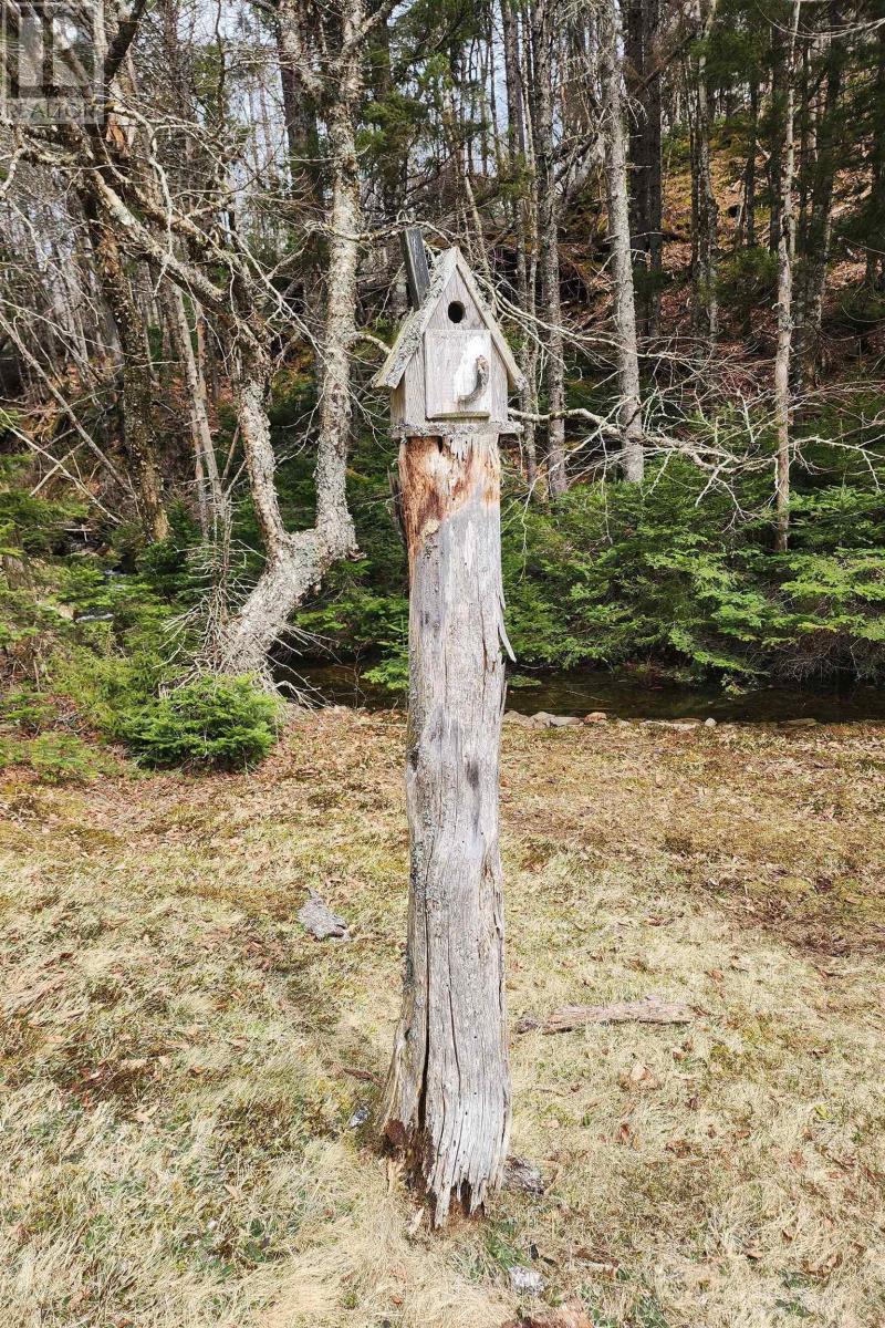 1009 Trout Lake Road, Hart Lake, Nova Scotia  B0M 1W0 - Photo 8 - 202610278