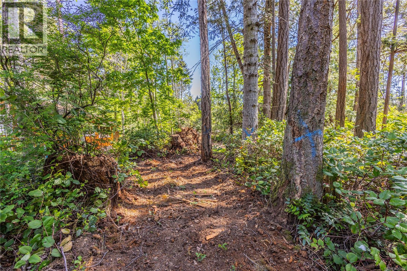 3250 Gunpowder Trail, Hornby Island, British Columbia  V0R 1Z0 - Photo 8 - 1036089