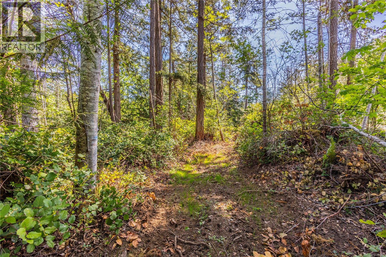 3250 Gunpowder Trail, Hornby Island, British Columbia  V0R 1Z0 - Photo 22 - 1036089