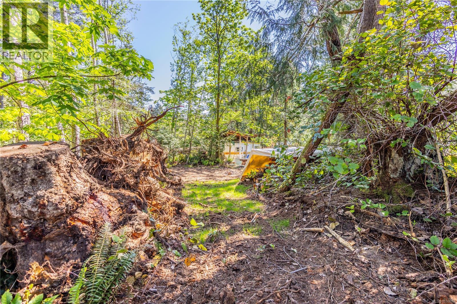 3250 Gunpowder Trail, Hornby Island, British Columbia  V0R 1Z0 - Photo 21 - 1036089