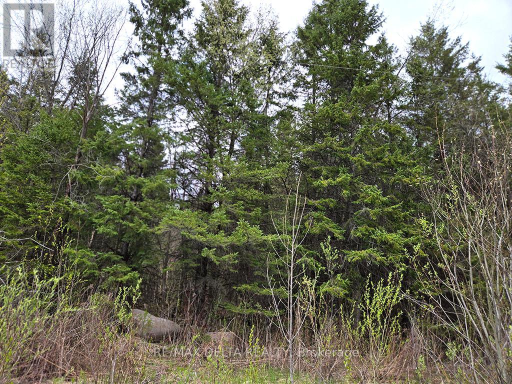 000 Concession 5 Road, North Glengarry, Ontario  K0C 1A0 - Photo 2 - X13104890