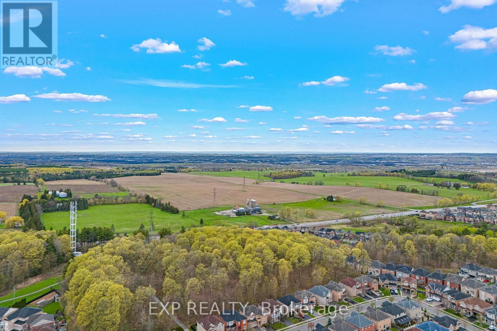 323 Cheryl Mews Boulevard, Newmarket, Ontario  L3X 3J6 - Photo 37 - N13100790