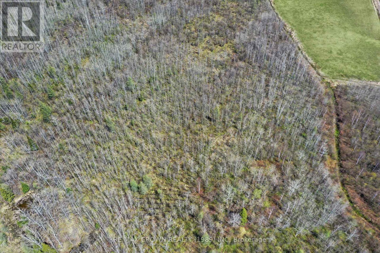73 Clear Lake Road N, Kapuskasing, Ontario  P5N 2X7 - Photo 15 - T13100832