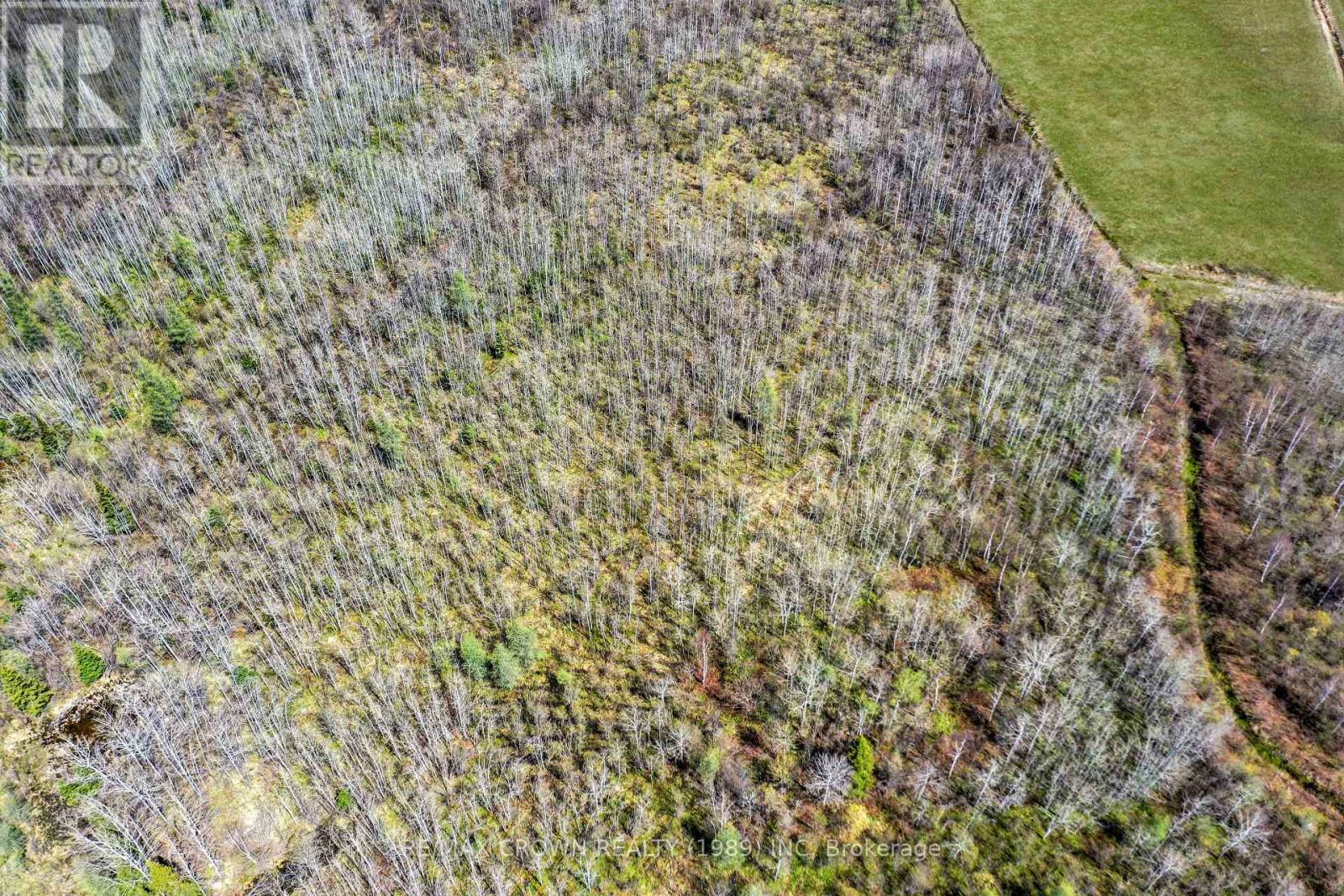 69 Clear Lake Road N, Kapuskasing, Ontario  P5N 2X7 - Photo 14 - T13100828