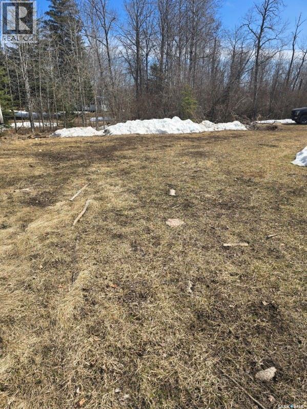 Lot 4 1st Avenue, Preeceville Rm No. 334, Saskatchewan  S0A 0W0 - Photo 1 - SK035455