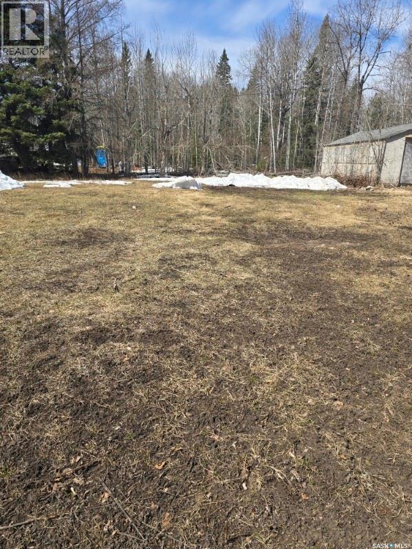 Lot 4 1st Avenue, Preeceville Rm No. 334, Saskatchewan  S0A 0W0 - Photo 4 - SK035455