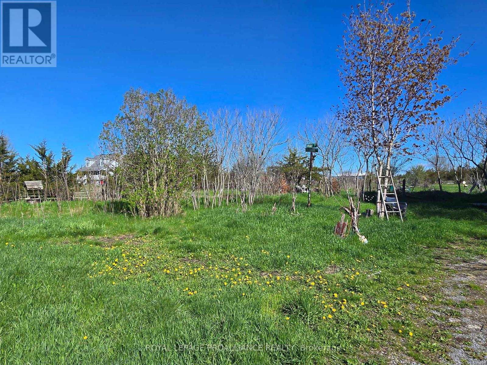 3161 Blessington Road, Tyendinaga, Ontario  K0K 3A0 - Photo 4 - X13103520