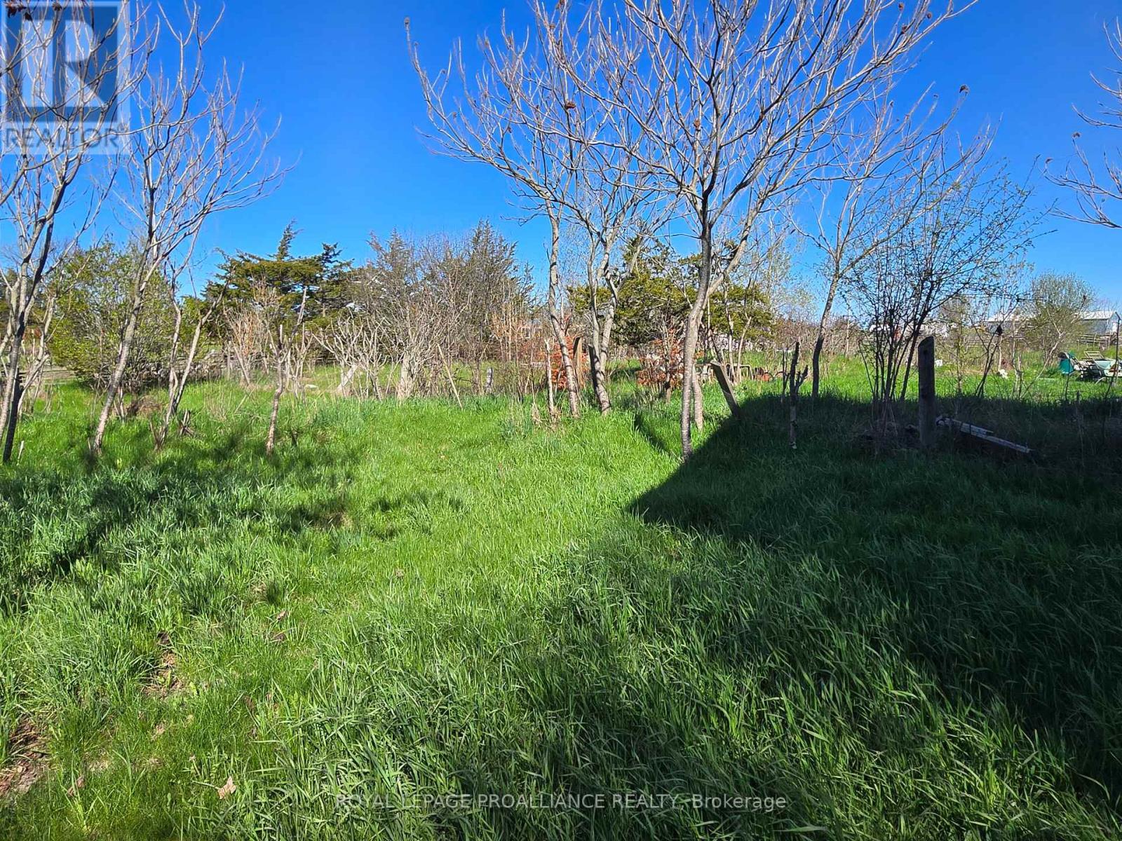 3161 Blessington Road, Tyendinaga, Ontario  K0K 3A0 - Photo 5 - X13103520