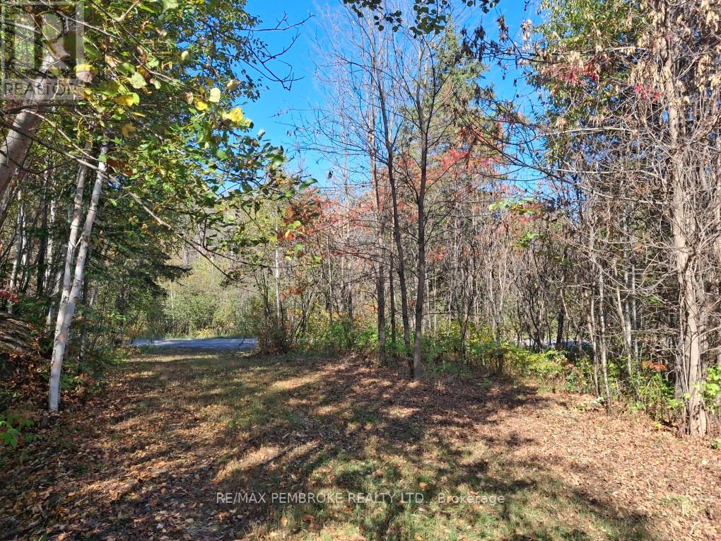 1623 Kohlsmith Road, Whitewater Region, Ontario  K0J 1K0 - Photo 2 - X12883884