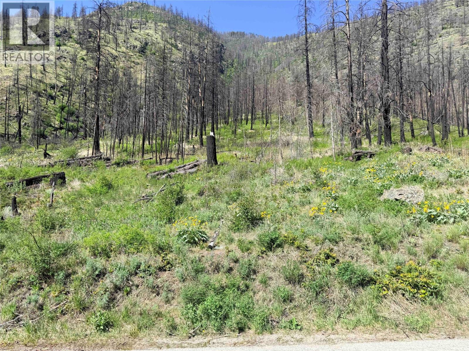 Green Mountain Road Lot# 530s, Keremeos, British Columbia  V0X 1N6 - Photo 15 - 10386681
