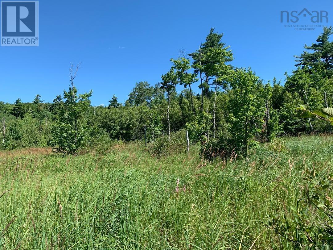 Lot 22-4 Little Harbour Road, Frasers Mountain, Nova Scotia