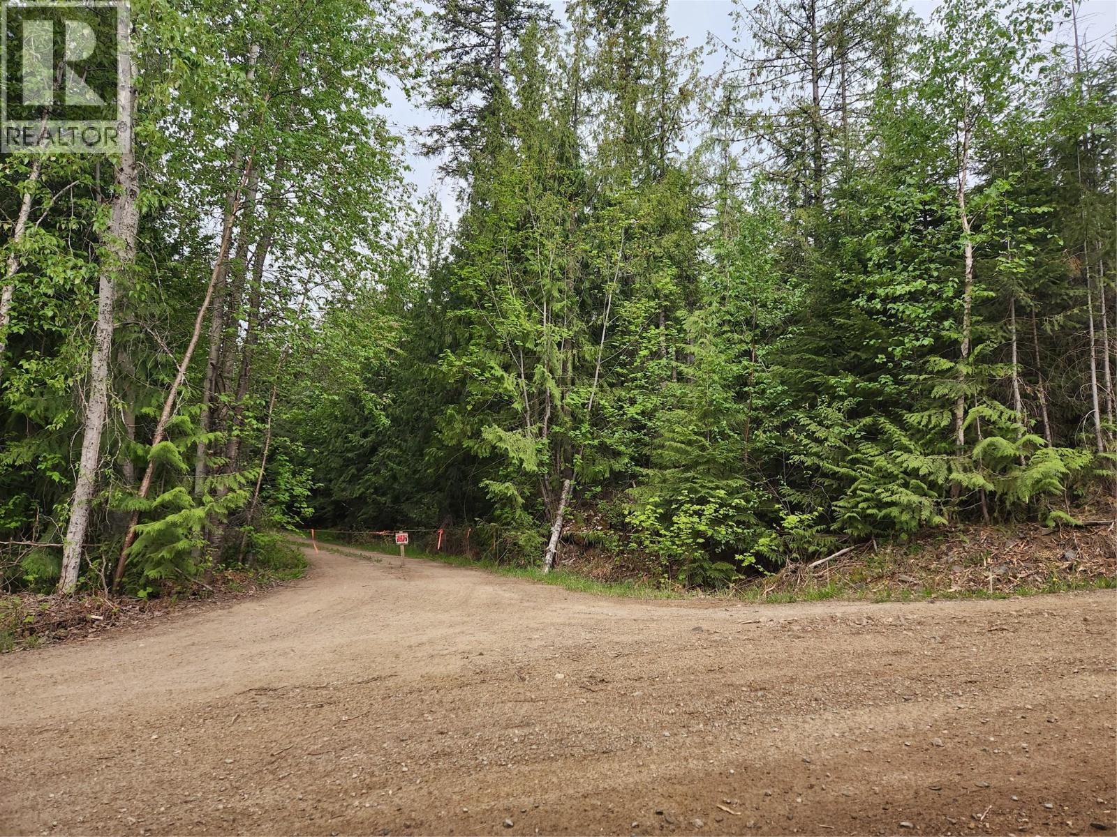 Ls 13 Of Sec 8 Tp 23 R 10 Leopold Road, Celista, British Columbia  V0E 1M6 - Photo 3 - 10386452