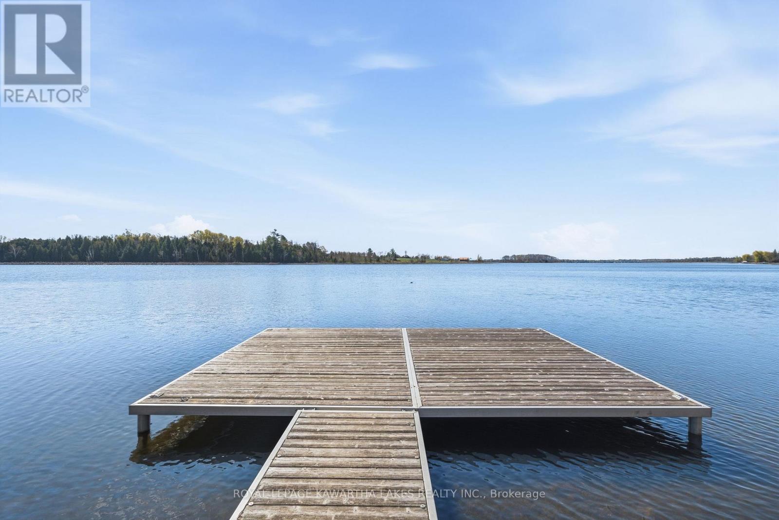 222 O'reilly Lane, Kawartha Lakes, Ontario  K0M 2C0 - Photo 48 - X12943082