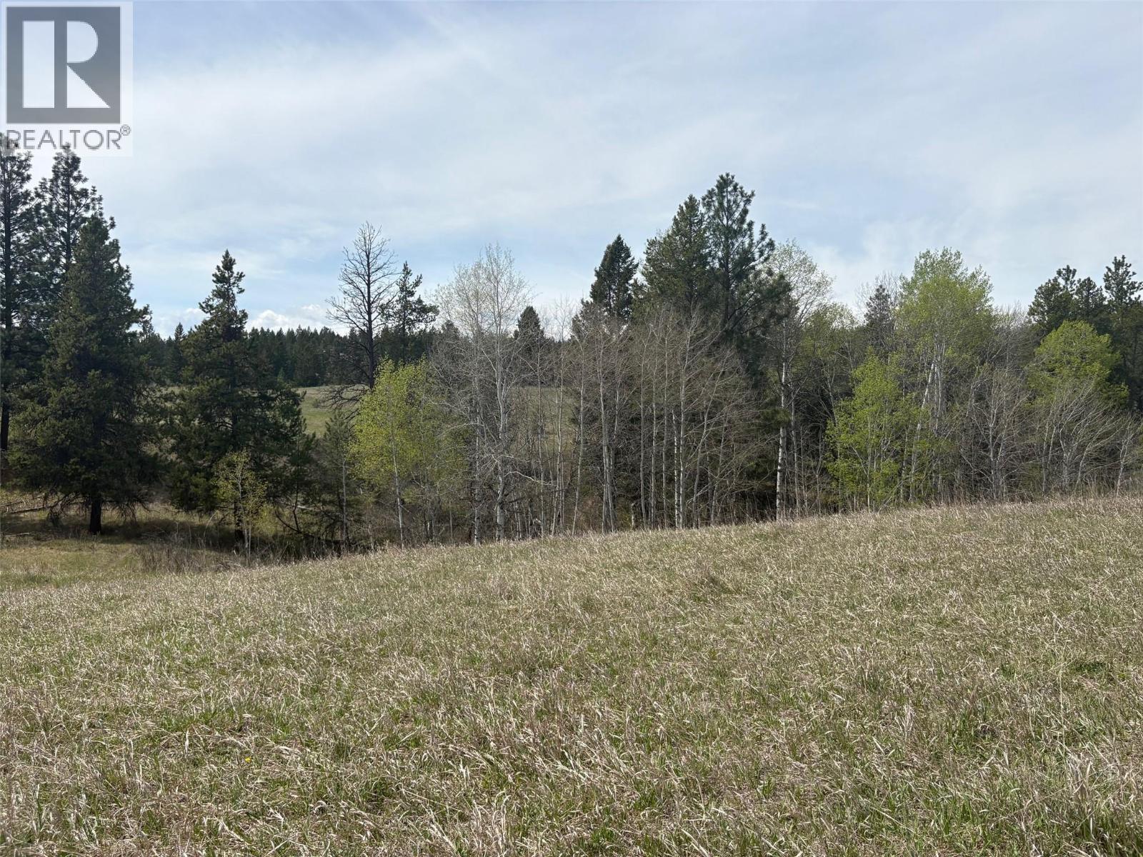 Stanley Road Lot# Lot B, Ta Ta Creek, British Columbia V1A 1A1 - Photo 8 - 10386491