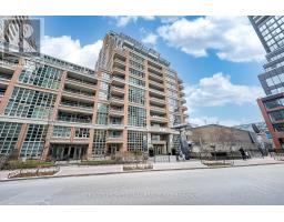 1713 - 85 E LIBERTY STREET, Toronto, Ontario