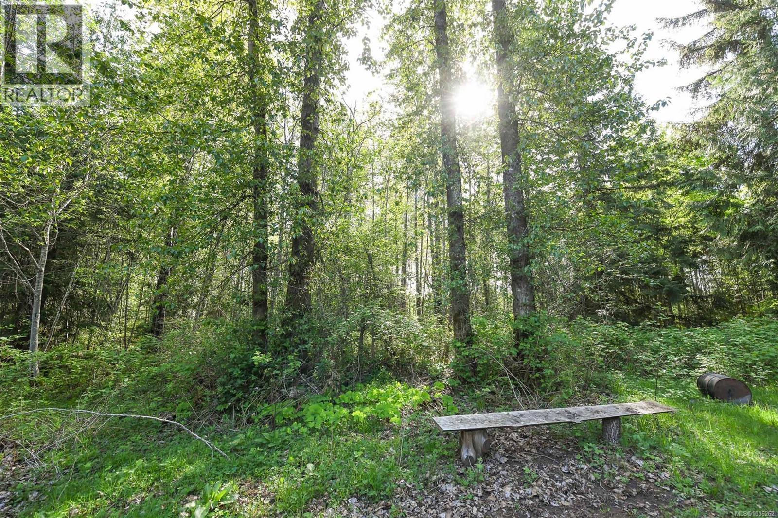 3550 Cumberland Rd, Cumberland, British Columbia  V0R 1S0 - Photo 25 - 1036262